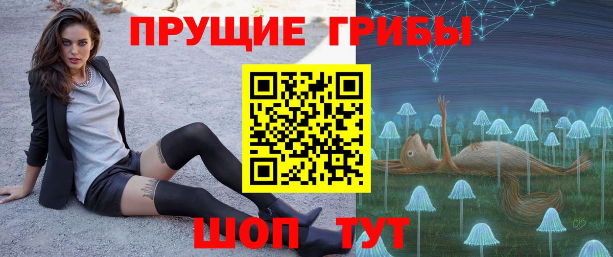 Галлюциногенные грибы Cubensis  Вход с VPN  сколько стоит  Можайск 